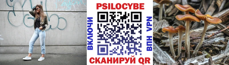 Галлюциногенные грибы Psilocybine cubensis  Кола 